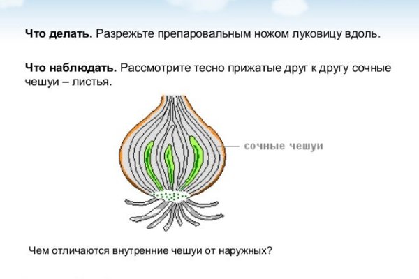 Найти зеркало кракена