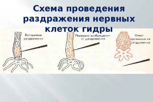 Krakin12 at