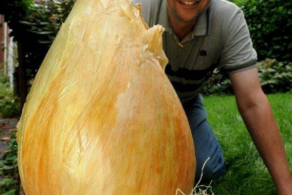 Кракен ссылка оригинал