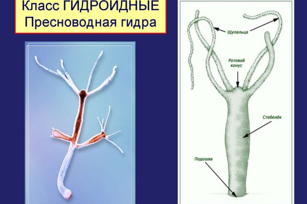 Kraken сайт вход